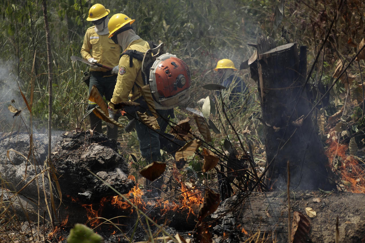 Nhói lòng cảnh Amazon nham nhở hoang tàn trong lửa dữ