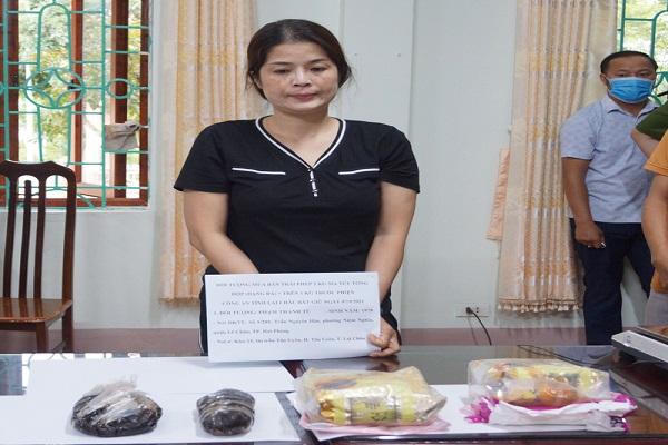 Phá chuyên án 596T tạm giữ 1 xe tải 2,5 tấn vận chuyển ma túy