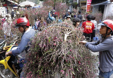 Chợ hoa phố cổ, đi chợ không chỉ để mua hoa