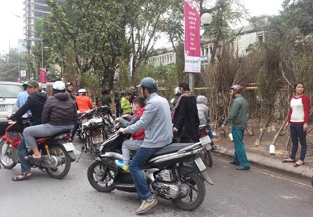 Đào, quất ế ẩm trong những ngày giáp Tết