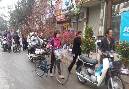 Đào, quất ế ẩm trong những ngày giáp Tết