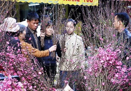 Chợ hoa phố cổ, đi chợ không chỉ để mua hoa