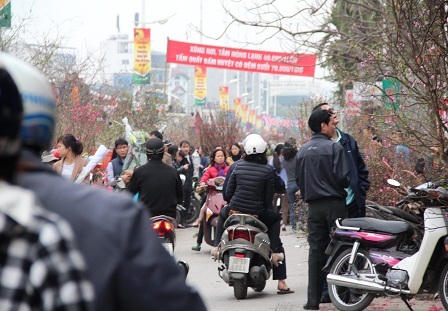Rừng người đi chợ hoa Tây Hồ sắm Tết