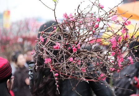 Rừng người đi chợ hoa Tây Hồ sắm Tết