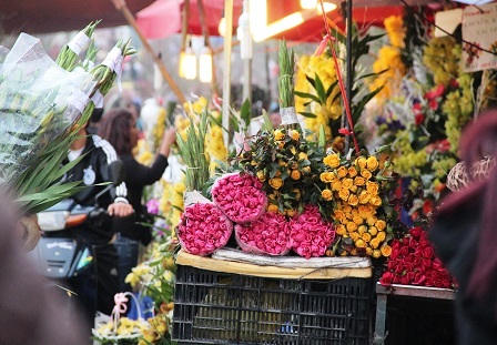 Rừng người đi chợ hoa Tây Hồ sắm Tết