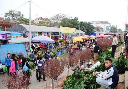 Rừng người đi chợ hoa Tây Hồ sắm Tết