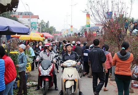 Rừng người đi chợ hoa Tây Hồ sắm Tết