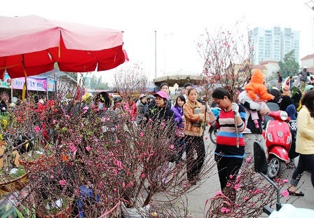 Rừng người đi chợ hoa Tây Hồ sắm Tết
