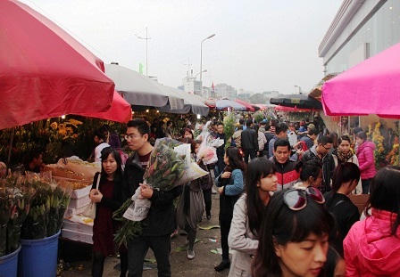 Rừng người đi chợ hoa Tây Hồ sắm Tết