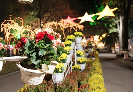 Thủ Đô rực rỡ đèn hoa đón Tết