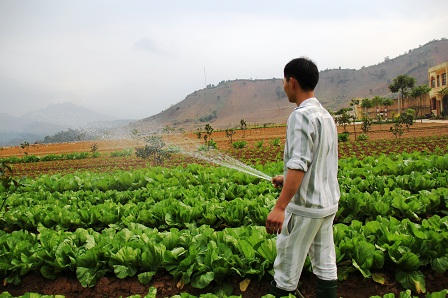 Tết ấm áp ở trại giam "thâm sơn cùng cốc"