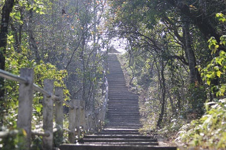 Ký sự ngược nguồn (P3): Người 20 năm giữ rừng Trần Hưng Đạo