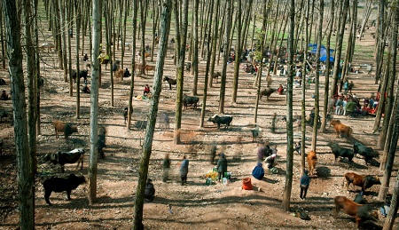 Nhìn lại một năm bằng loạt ảnh đoạt giải Ảnh Báo chí Thế giới