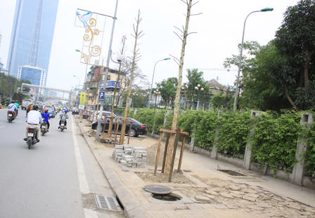 Người dân lên tiếng việc Hà Nội chặt 6.700 cây xanh