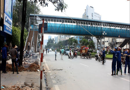 Người dân lên tiếng việc Hà Nội chặt 6.700 cây xanh