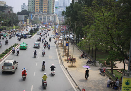 Người dân lên tiếng việc Hà Nội chặt 6.700 cây xanh