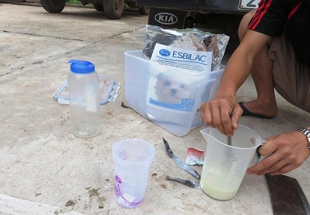 Cứu hộ một cá thể gấu chó tại Nậm Pồ, Điện Biên