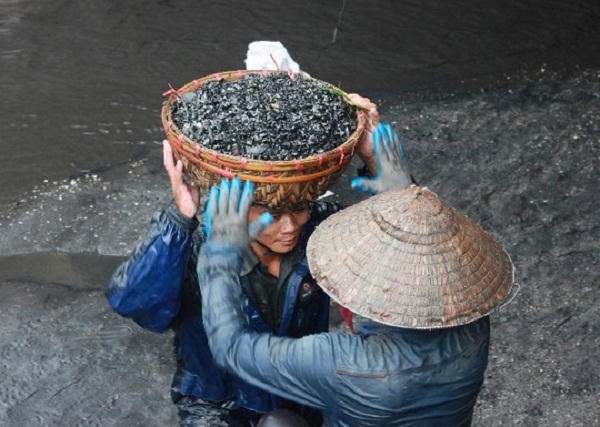 Thiệt hại nặng về người và của do mưa lớn, lũ dữ