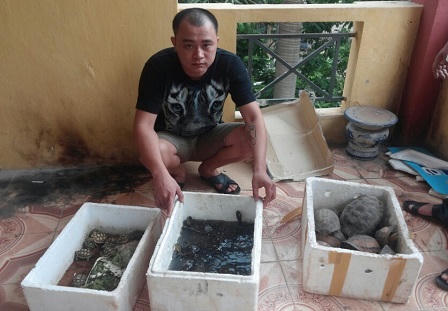 Phát hiện cơ sở nuôi rùa quý hiếm trái phép giữa thủ đô