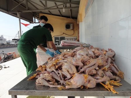 Bắt xe chở 160 kg thịt gà bẩn được tuồn vào TP.HCM