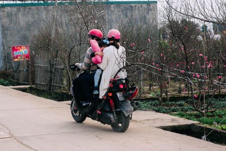 Rét hại, người dân Hà Nội “căng mình” bảo vệ đào, quất!