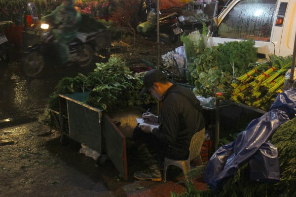 Bản tin: Thị trường hoa Tết bắt đầu vào vụ