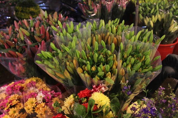 Bản tin: Thị trường hoa Tết bắt đầu vào vụ