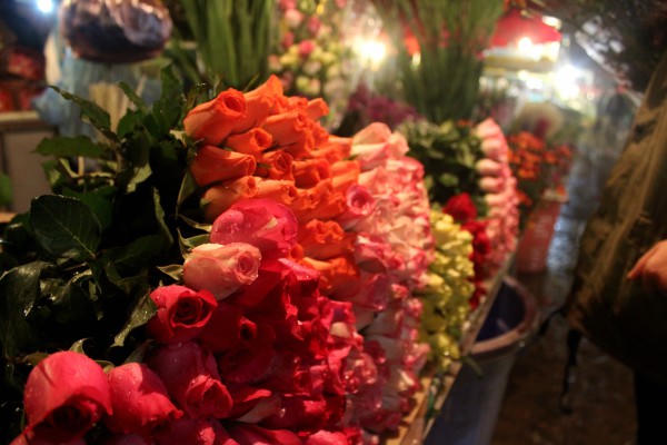 Chợ đêm, điểm hẹn của các loài hoa trong ngày cận Tết