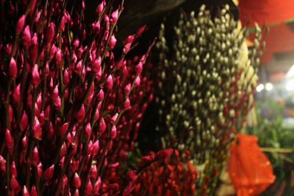 Chợ đêm, điểm hẹn của các loài hoa trong ngày cận Tết