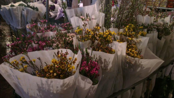 Chợ đêm, điểm hẹn của các loài hoa trong ngày cận Tết