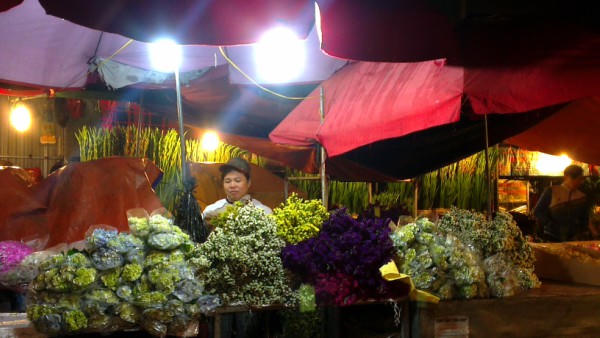 Chợ đêm, điểm hẹn của các loài hoa trong ngày cận Tết