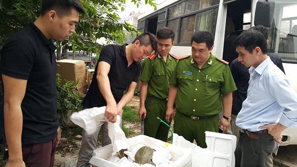 Bắt giữ hơn 1.2 tấn ba ba Trung Quốc