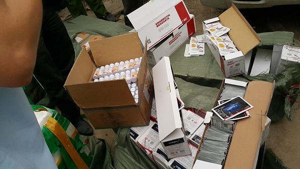 Bắt giữ hơn 1.2 tấn ba ba Trung Quốc