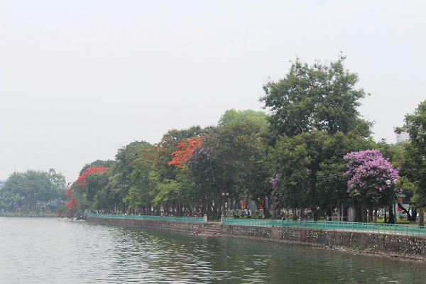 Sắc màu mùa hạ rực rỡ khắp Hà Thành