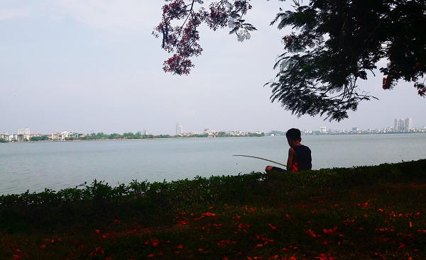 Sắc màu mùa hạ rực rỡ khắp Hà Thành