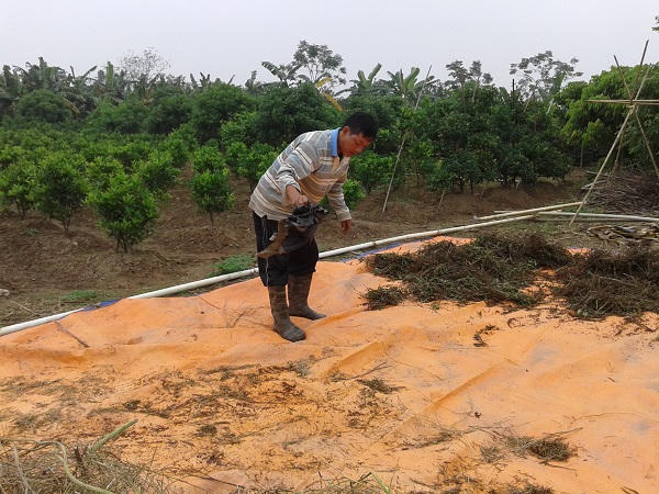 Yên bình một làng quê toàn nông dân giữa Thủ đô