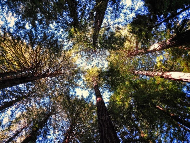 Smartphone Ektra, sự tái hiện của một huyền thoại máy ảnh Kodak