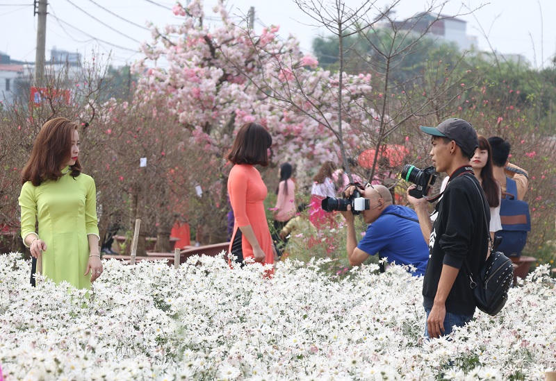 Làng hoa Nhật Tân kiếm bộn tiền nhờ dịch vụ chụp ảnh Tết