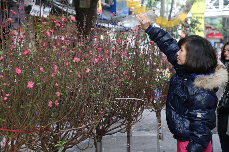 Hoa giả tràn ngập tại chợ hoa 500 năm tuổi