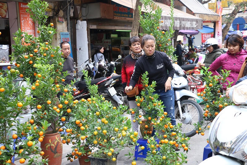 Hoa giả tràn ngập tại chợ hoa 500 năm tuổi