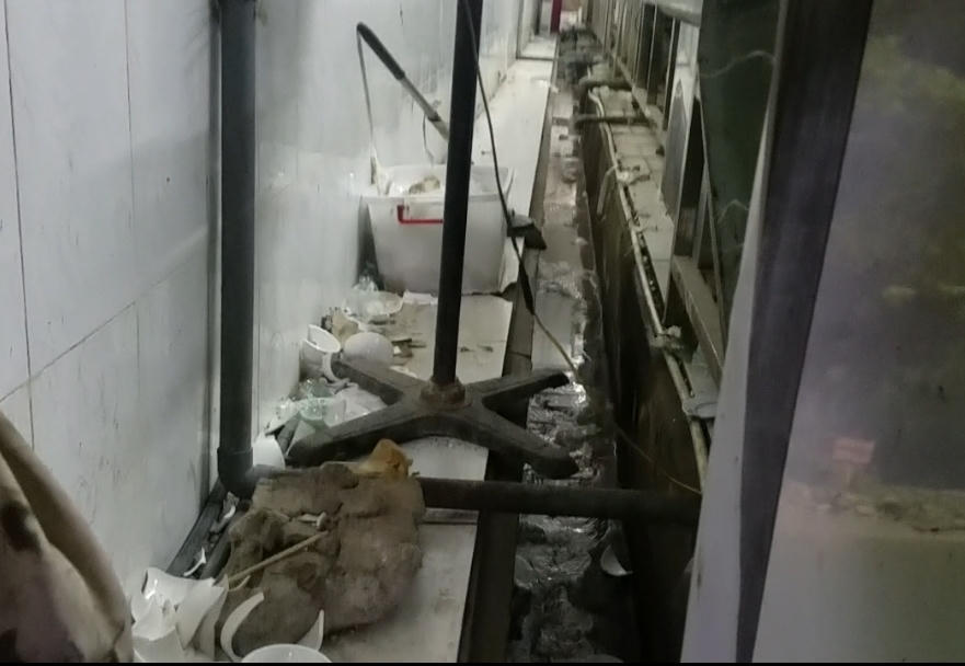 Phát khiếp với cơ sở rửa bát, đĩa góp phần "bức tử" sông Nhuệ 