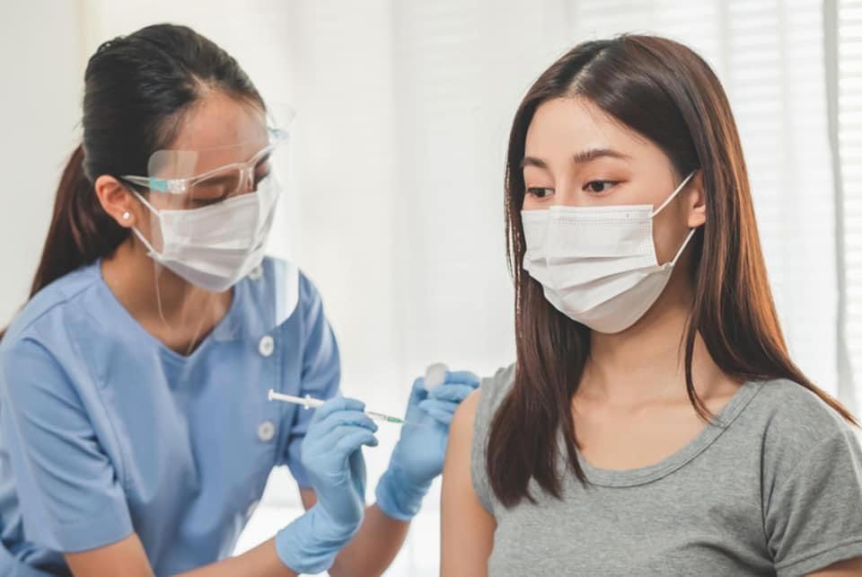 Lá chắn giúp đẩy lùi dịch bệnh