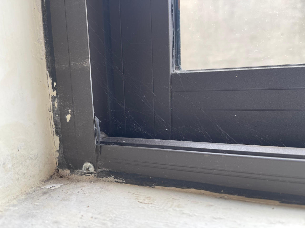 Chuột, nhện, gián... 'tấn công' nhà hàng tại Hà Nội