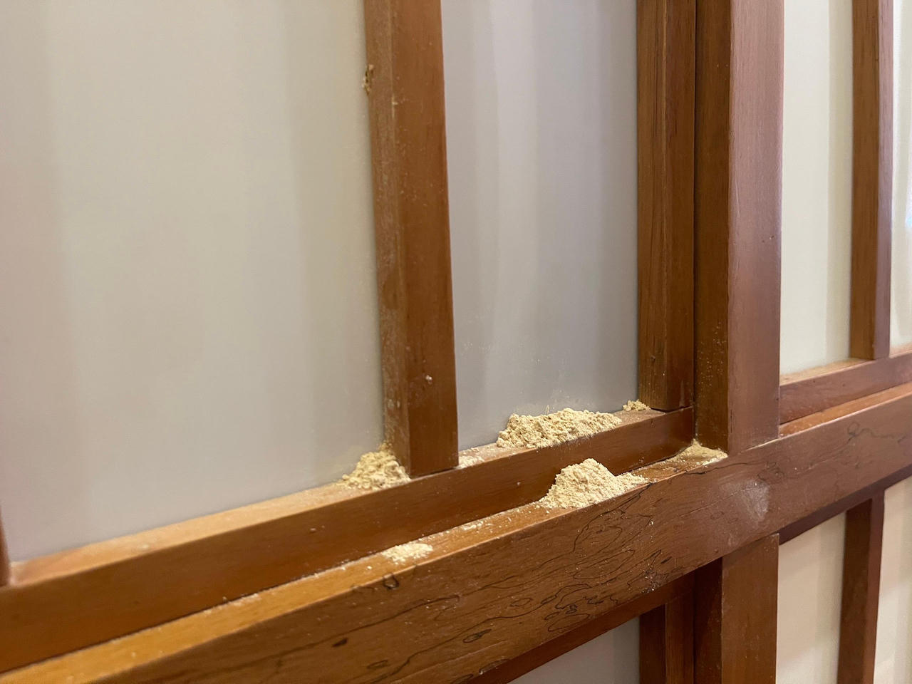 Chuột, nhện, gián... 'tấn công' nhà hàng tại Hà Nội