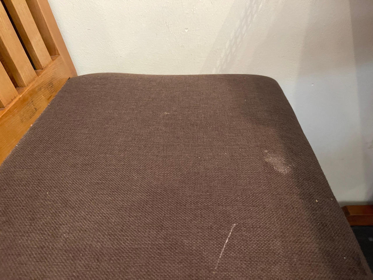 Chuột, nhện, gián... 'tấn công' nhà hàng tại Hà Nội