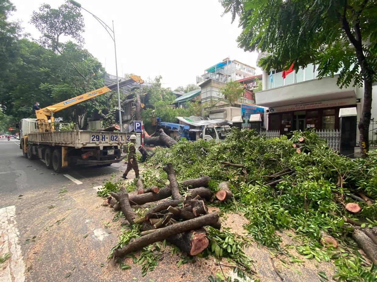 Cây cổ thụ bất ngờ đổ vào nhà dân ở Hà Nội