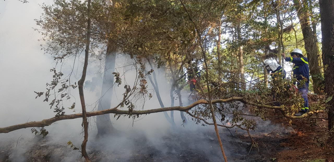 Rừng Sóc Sơn cháy lớn trong đêm
