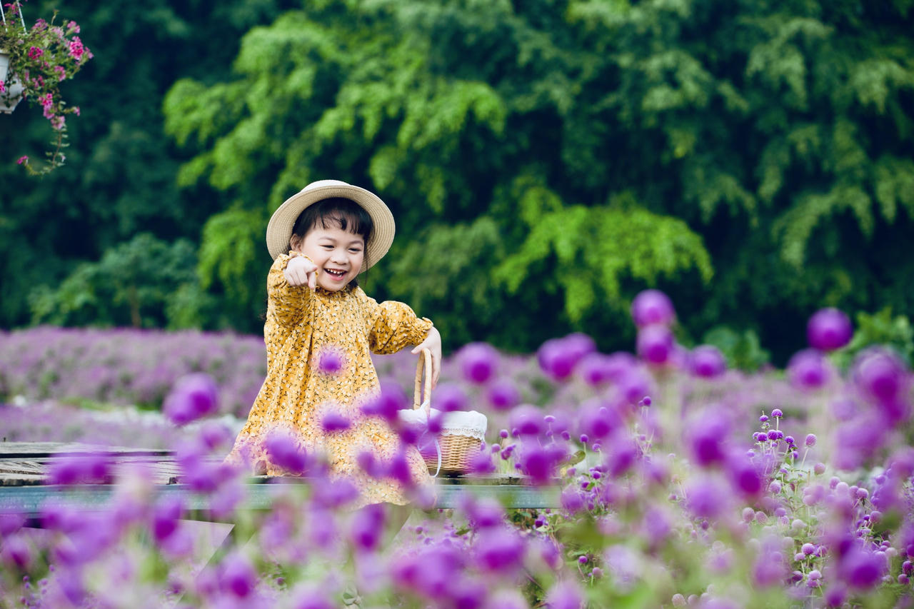 Mãn nhãn với hình ảnh siêu yêu của những bé gái trên cánh đồng hoa bách nhật 