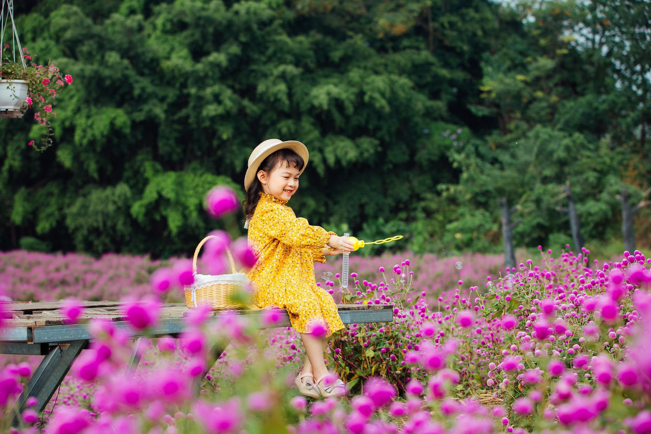 Mãn nhãn với hình ảnh siêu yêu của những bé gái trên cánh đồng hoa bách nhật 