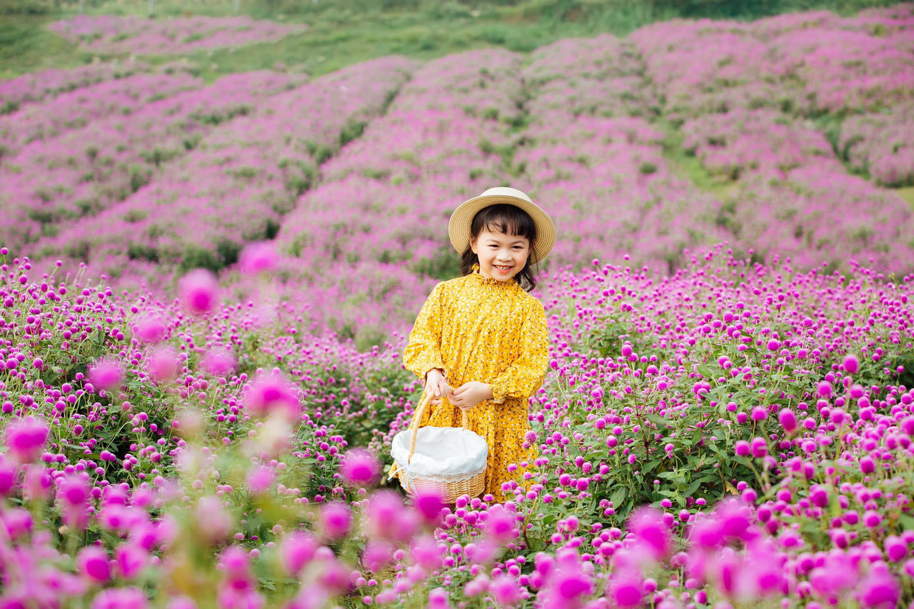 Mãn nhãn với hình ảnh siêu yêu của những bé gái trên cánh đồng hoa bách nhật 